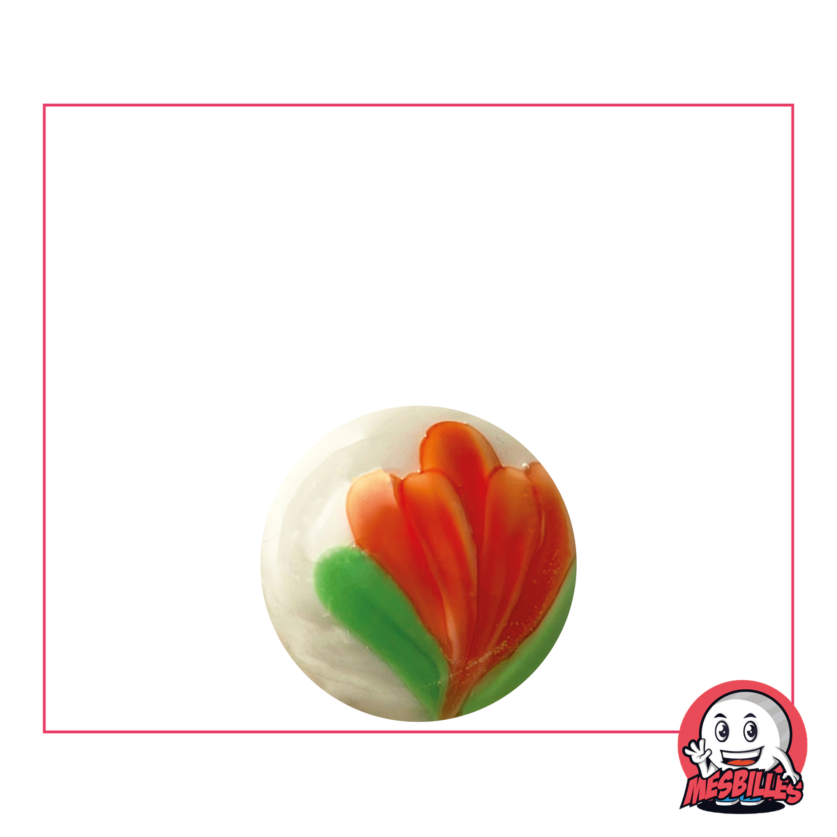 1 Murmeln Art Tulpe Weiß 16 mm